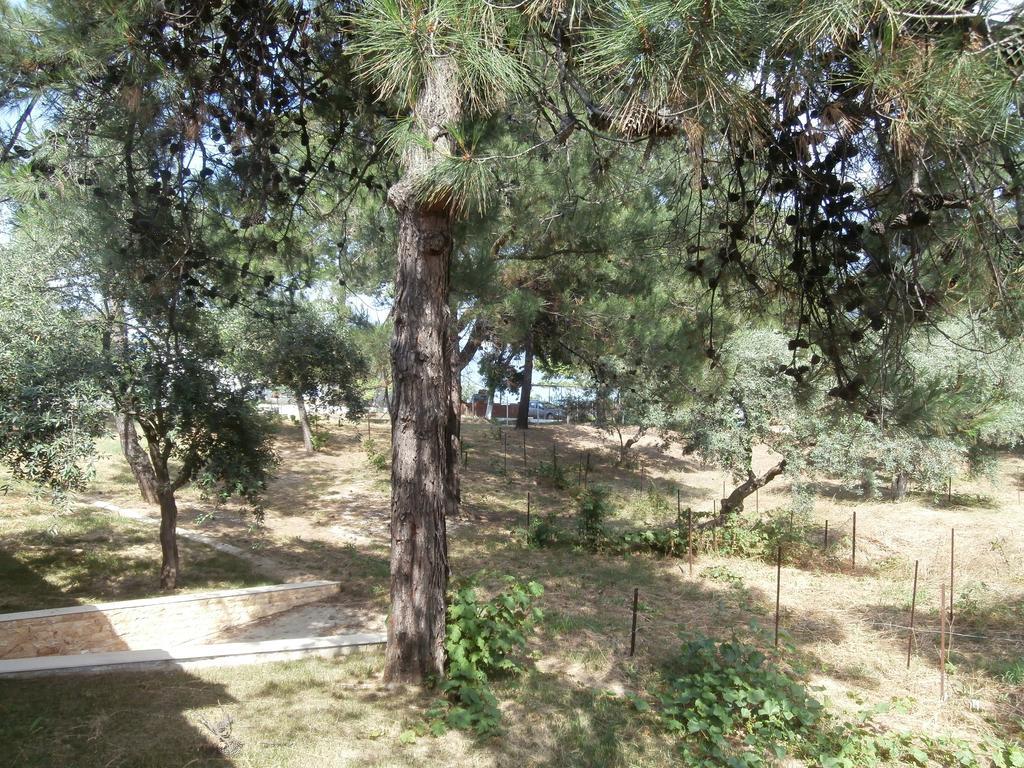 Villa Barouti Koinira Exteriér fotografie
